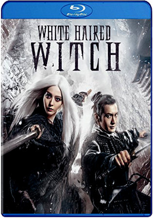 The White Haired Witch Of Lunar Kingdom 2014 BluRay 300MB Hindi Dual Audio 480p