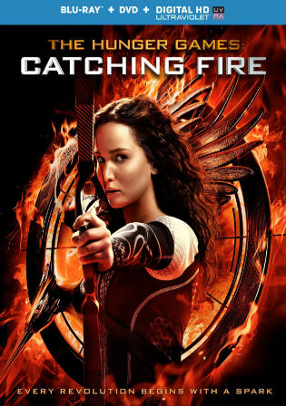 The Hunger Games Catching Fire 2013 BRRip 450Mb Hindi Dual Audio 480p