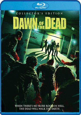 Dawn of The Dead 2004 BRRip 950Mb Hindi Dual Audio 720p Watch Online Full Movie Download bolly4u