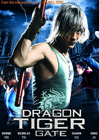 Dragon Tiger Gate 2006 BRRip 300Mb Hindi Dual Audio 480p Watch online Full Movie Download bolly4u