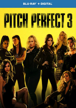 Pitch Perfect 3 2017 BluRay 300MB Hindi Dual Audio 480p