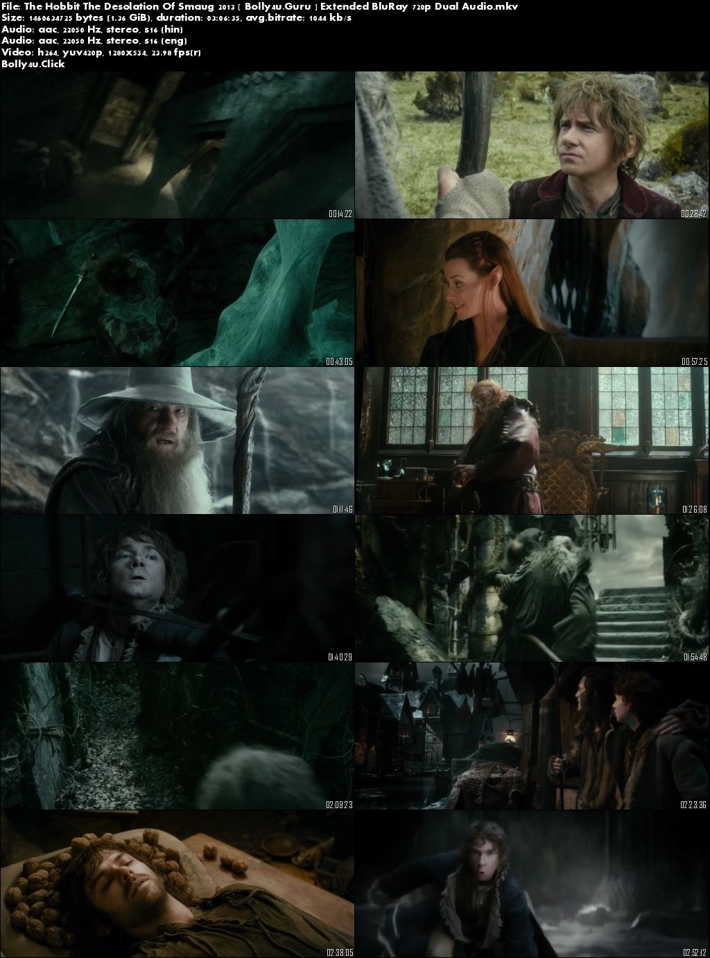 The Hobbit The Desolation Of Smaug 2013 BRRip Hindi Dual Audio 720p Download