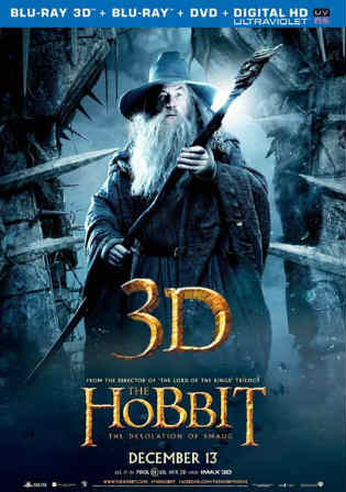 The Hobbit The Desolation Of Smaug 2013 BRRip 500MB Hindi Dual Audio 480p