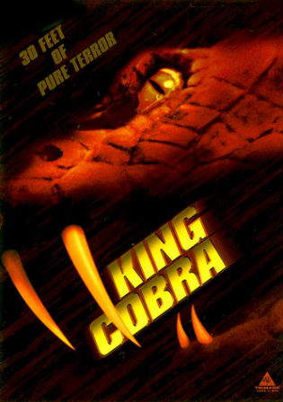 King Cobra 1999 WEB-DL 300Mb 48p0p Hindi Dual Audio