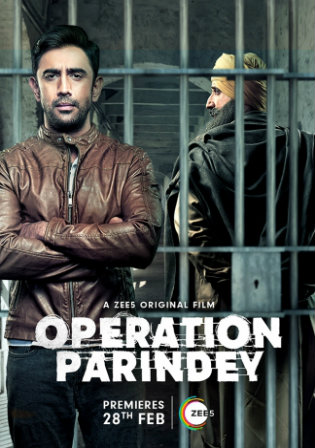Operation Parindey 2020 WEB-DL 350Mb Hindi 720p