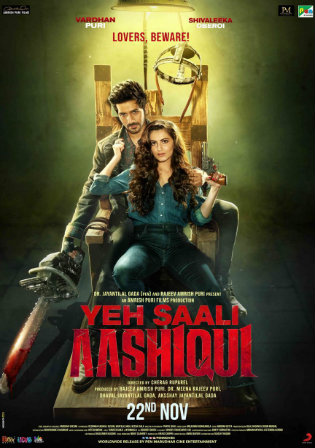Yeh Saali Aashiqui 2019 WEBRip 400MB Full Hindi Movie Download 480p Watch Online Free bolly4u
