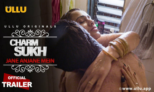 Charmsukh (Jane Anjane Mein) 2020 WEBRip 350Mb Hindi 720p