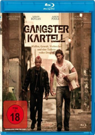 Gangster Exchange 2010 BRRip 300Mb Hindi Dual Audio 480p