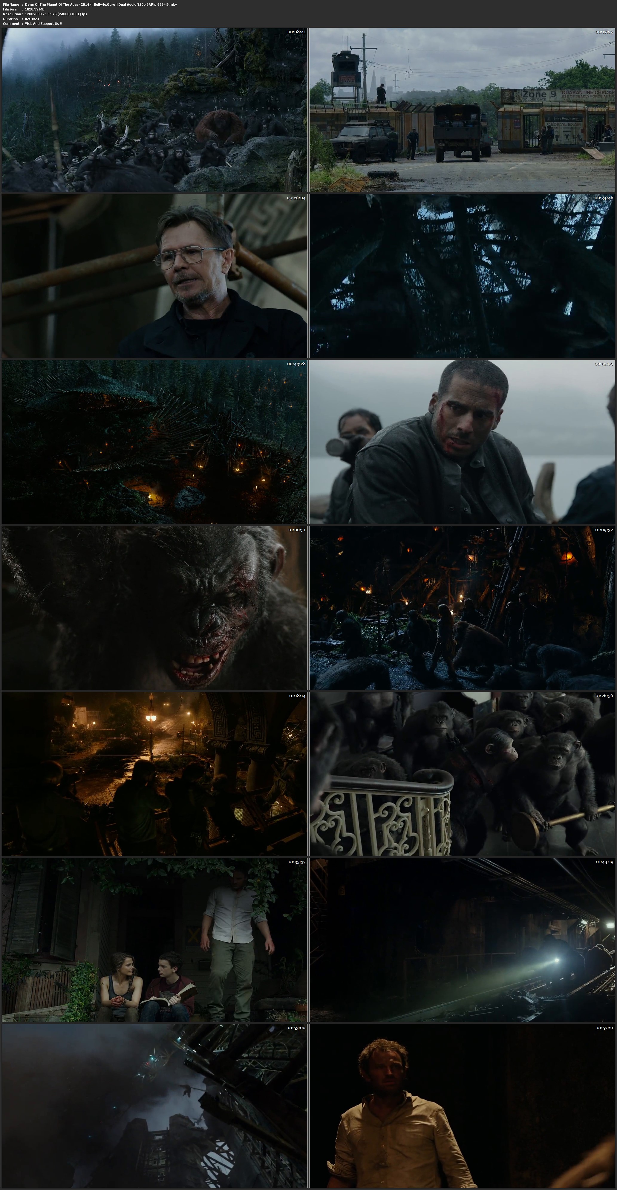 Dawn Of The Planet Of The Apes 2014 BRRip 999MB Hindi Dual Audio 720p Download
