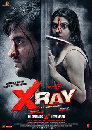 X Ray The Inner Image 2019 WEB-DL 300Mb Hindi Movie Download 480p