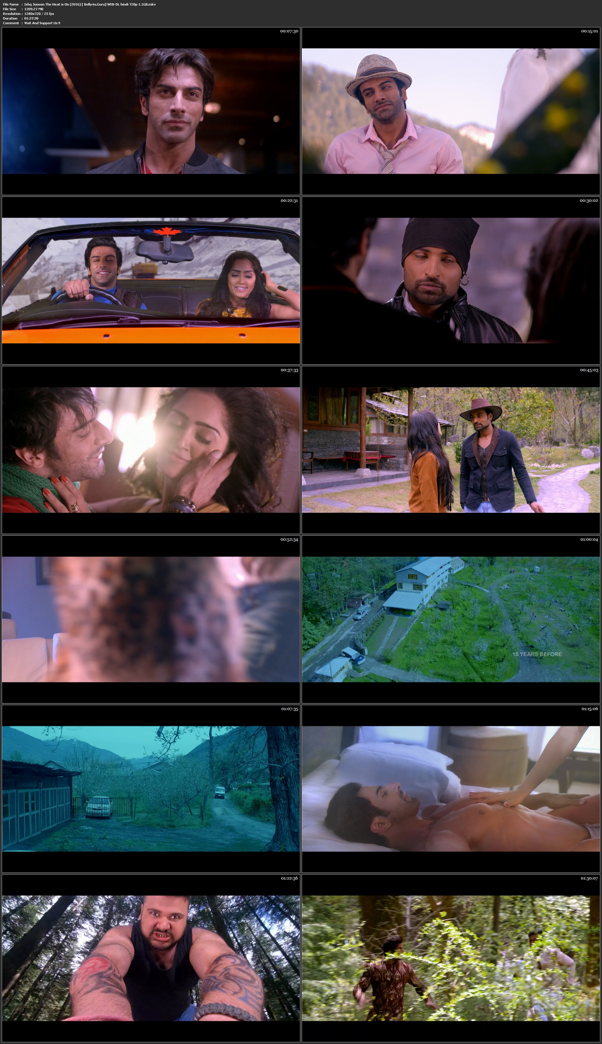 Ishq Junoon The Heat is On 2016 WEB-DL 300Mb Hindi 480p Download