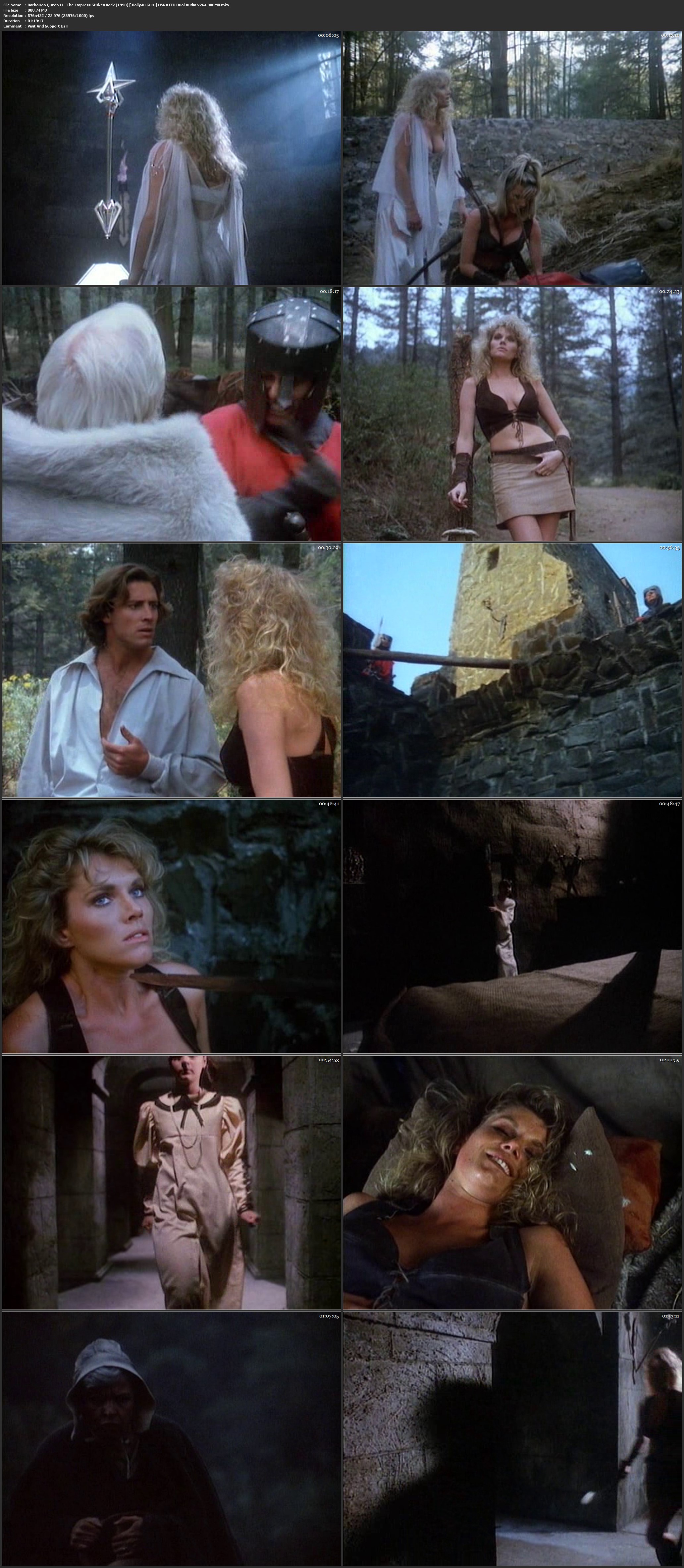 Barbarian Queen II The Empress Strikes Back 1990 BRRip 300MB UNRATED Hindi Dual Audio 480p Download