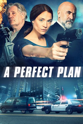 A Perfect Plan (2020) WEB-DL [In English] 720p With Hindi Subtitles x264 | Full Movie
