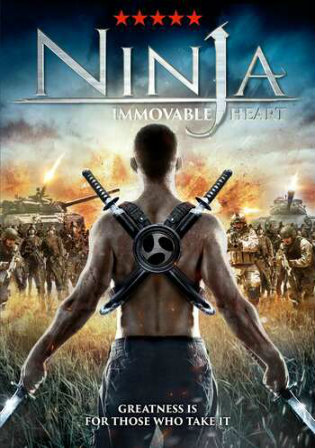 Ninja Immovable Heart 2014 BluRay 300Mb Hindi Dual Audio 480p