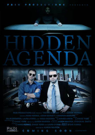 Hidden Agenda 2015 WEBRip 300Mb Hindi Dual Audio 480p