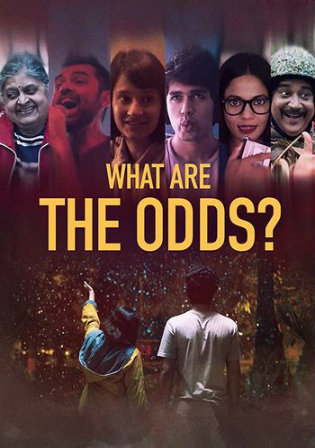 What Are the Odds 2020 WEBRip 300MB Hindi 480p ESub Watch Online Free Download bolly4u