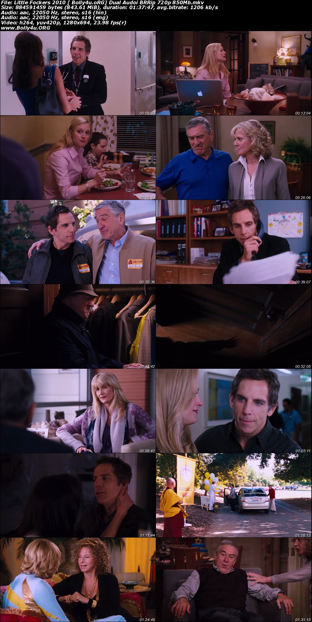 Little Fockers 2010 BRRip 300Mb Hindi Dual Audio 480p Download