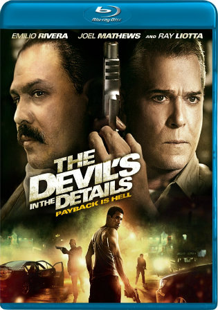 The Devils In The Details 2013 BRRip 300Mb Hindi Dual Audio 480p