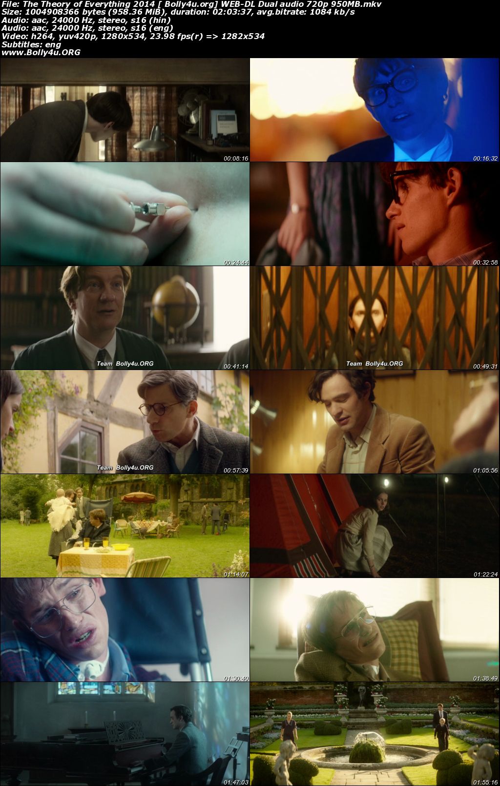 The Theory of Everything 2014 WEB-DL 300Mb Hindi Dual Audio 480p Download