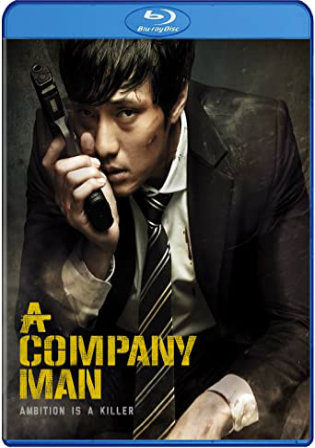 A Company Man 2012 BRRip 300Mb Hindi Dual Audio 480p