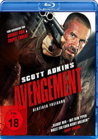 Avengement 2019 BluRay 950Mb Hindi Dual Audio 720p Watch Online Full Movie Download bolly4u