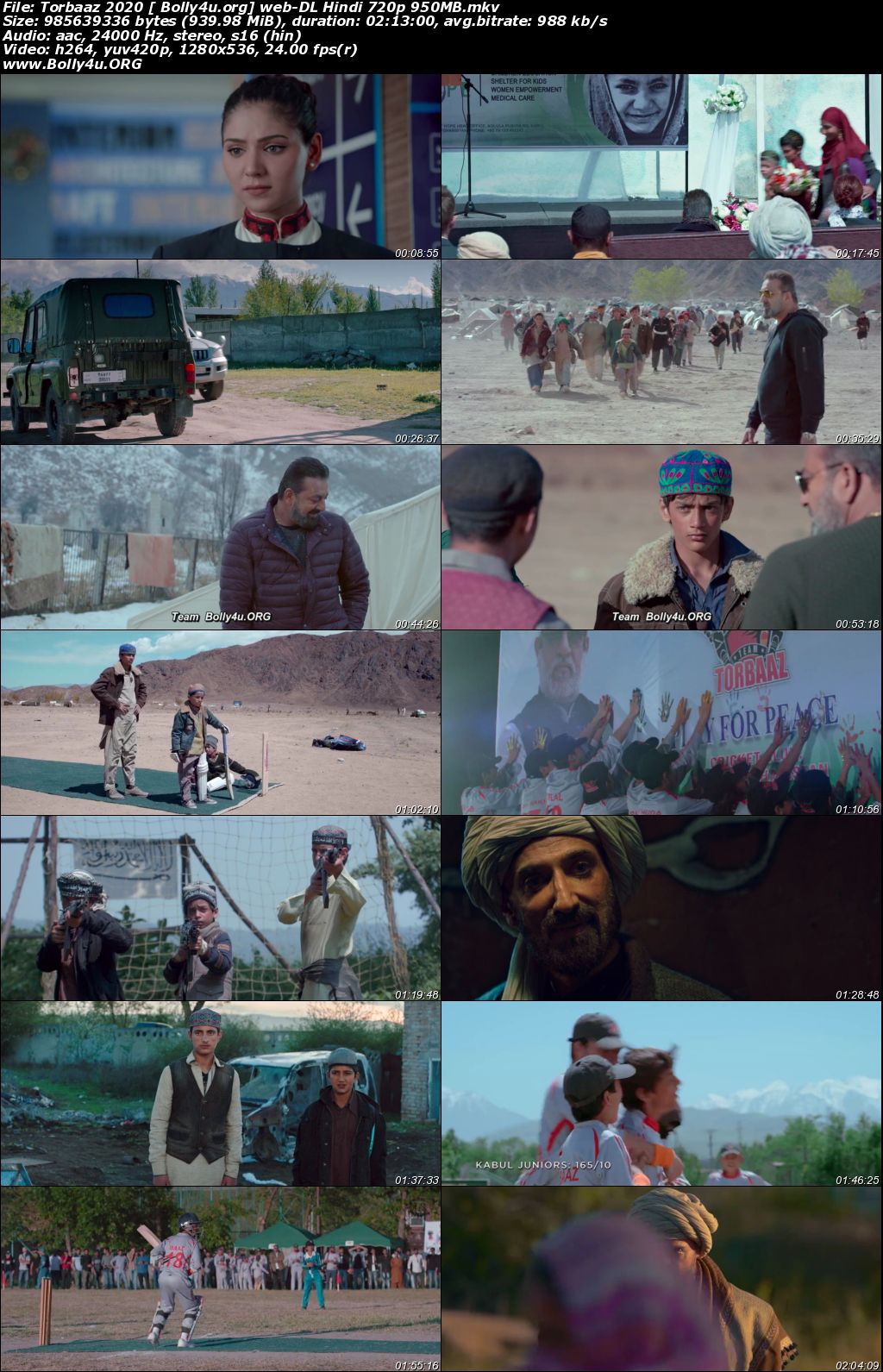 Torbaaz 2020 WEB-DL 400MB Hindi Movie Download 480p