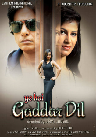 Yeh Hai Gaddar Dil 2017 WEB-DL 280Mb Hindi 480p Watch Online Full Movie Download bolly4u