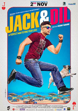 Jack and Dil 2018 WEB-DL 300MB Hindi 480p