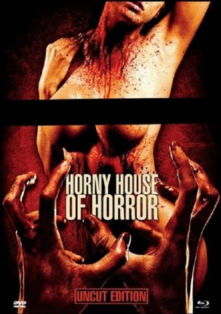 18+ Horny House of Horror 2010 WEB-DL 550Mb Hindi Dual Audio 720p