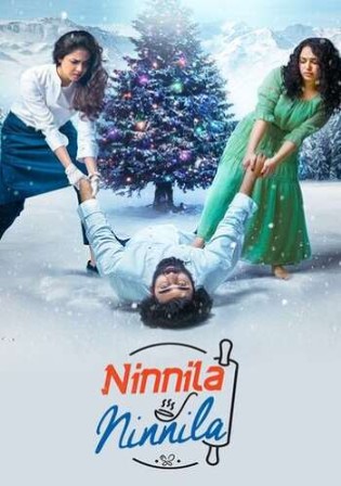 Ninnila Ninnila 2021 WEB-DL 400MB Hindi Dubbed 480p Watch Online Full Movie Download bolly4u