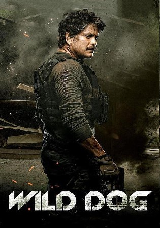 Wild Dog 2021 WEB-DL 350MB Telugu 480p Watch Online Full Movie Download bolly4u