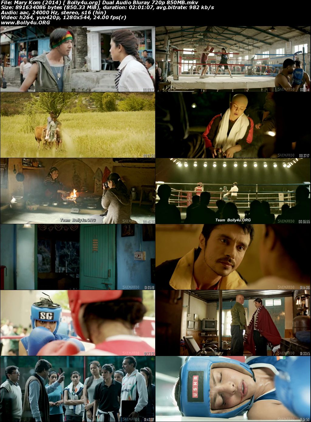 Mary Kom 2014 BluRay 350MB Full Hindi Movie Download 480p