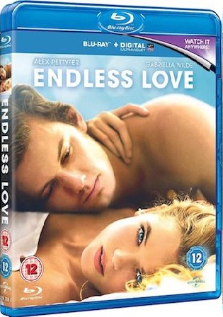 Endless Love 2014 BluRay 350MB Hindi Dual Audio 480p