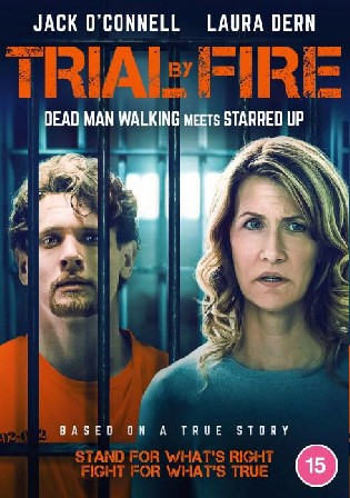 Trial By Fire 2018 WEB-DL 350Mb Hindi Dual Audio 480p