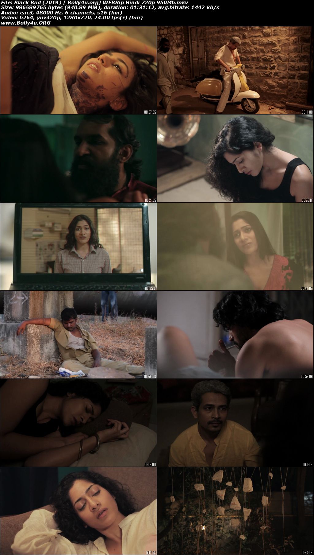 Black Bud 2019 WEBRip 300Mb Hindi 480p Download