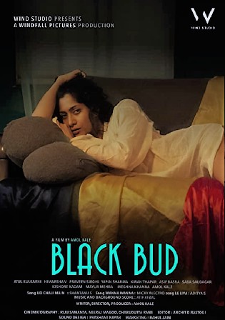 Black Bud 2019 WEBRip 300Mb Hindi 480p