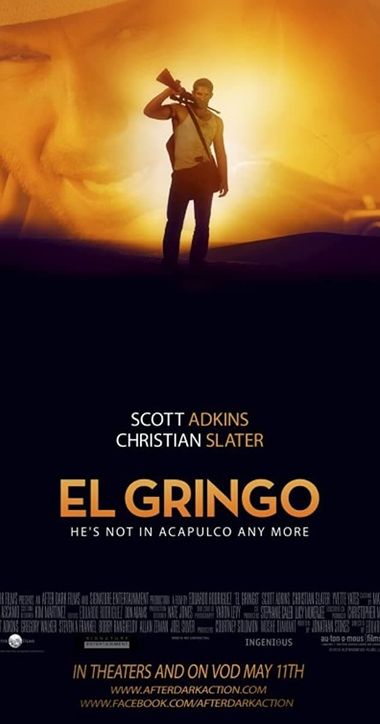 El Gringo (2012) BluRay Dual Audio [Hindi (ORG 2.0) & English] 1080p 720p 480p Esubs x264 HD | Full Movie
