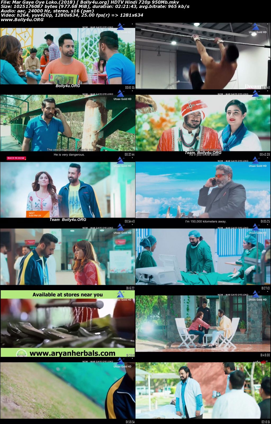Mar Gaye Oye Loko 2018 HDTV 950MB Punjabi Movie Download 720p