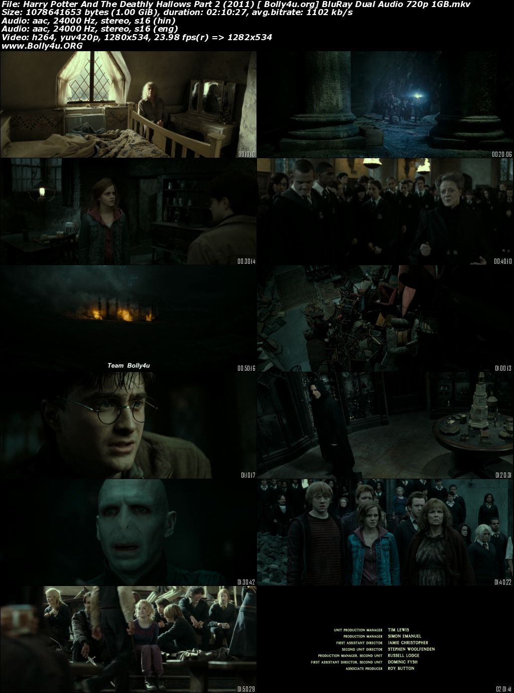 Harry Potter And The Deathly Hallows Part 2 2011 BRRip 400Mb Hindi Dual Audio 480p Download