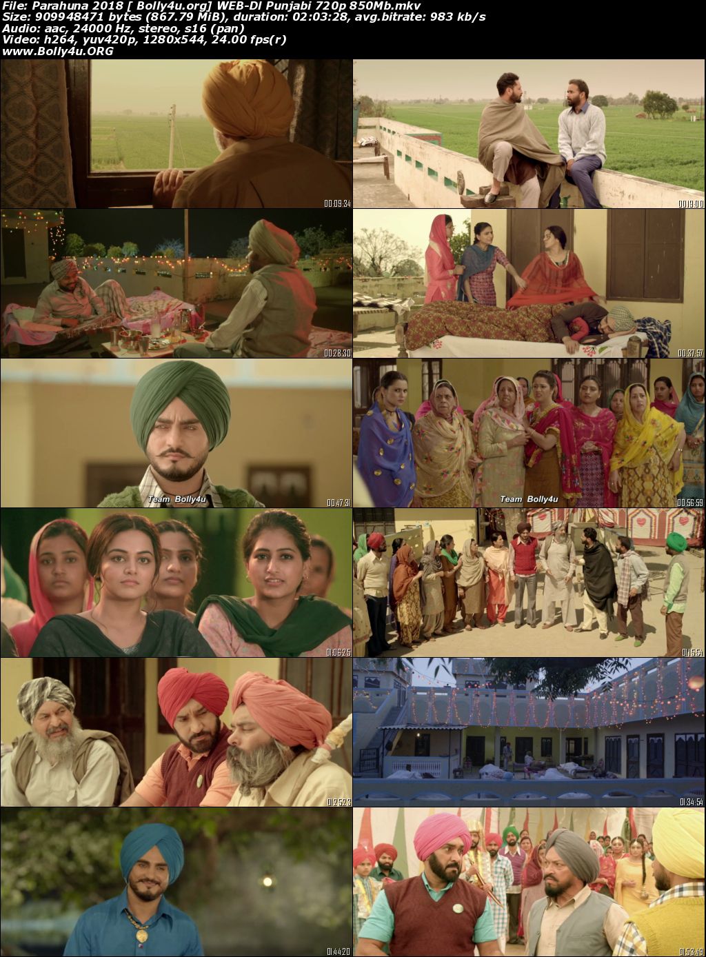 Parahuna 2018 WEB-DL 850Mb Punjabi Movie Download 720p