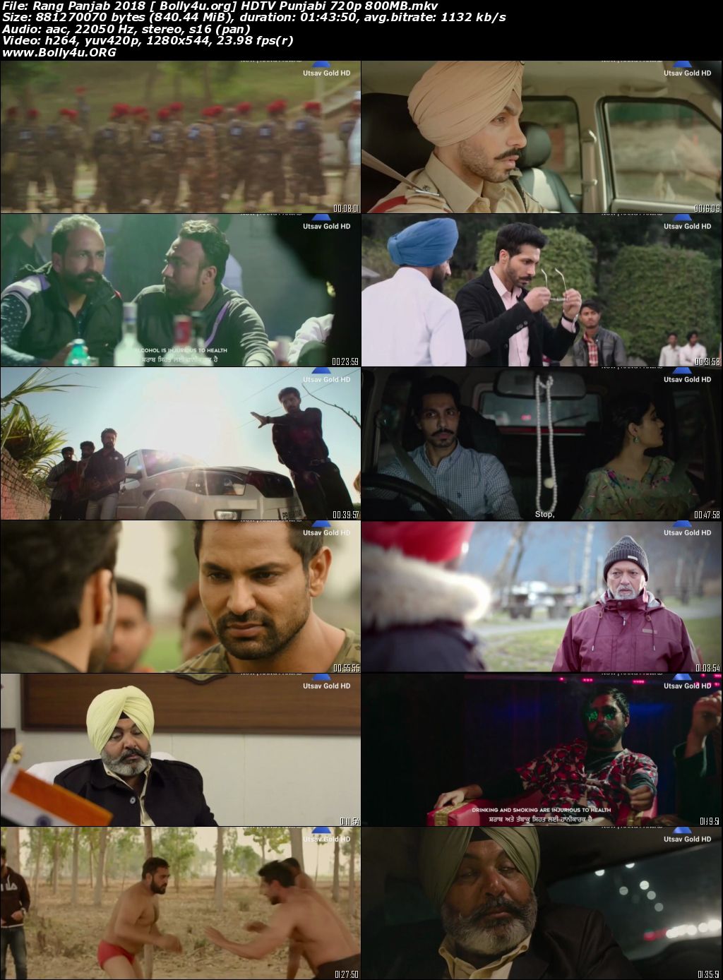 Rang Panjab 2018 HDTV 800MB Punjabi 720p Download