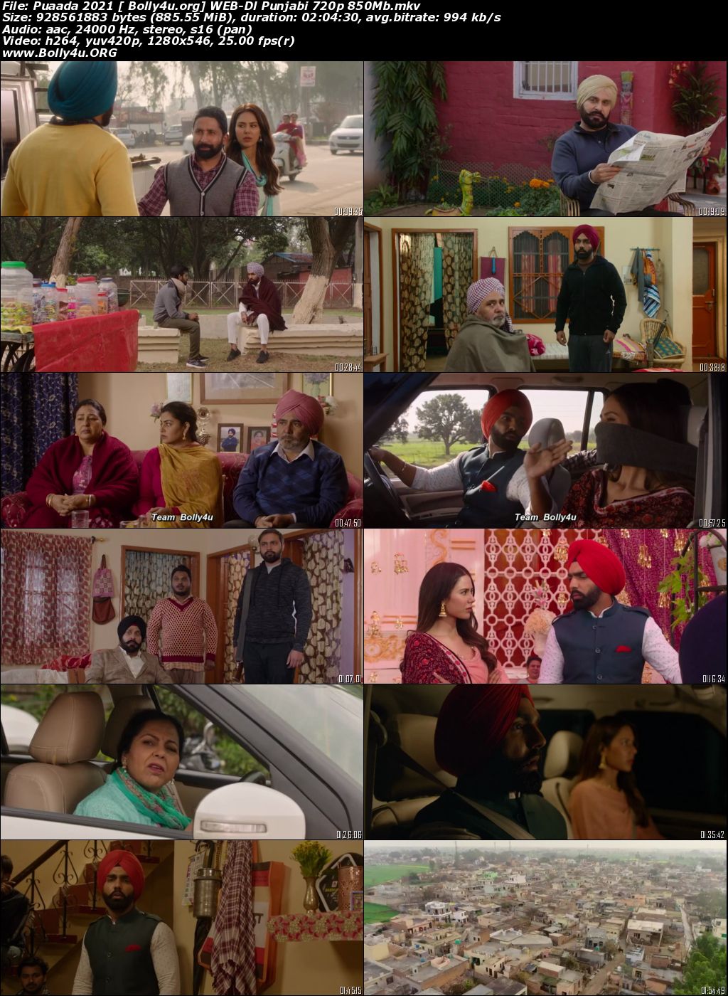 Puaada 2021 WEB-DL 850Mb Punjabi Movie Download 720p