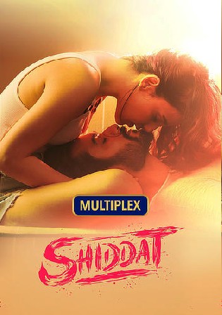 Shiddat 2021 WEB-DL 400MB Hindi Movie Download 480p
