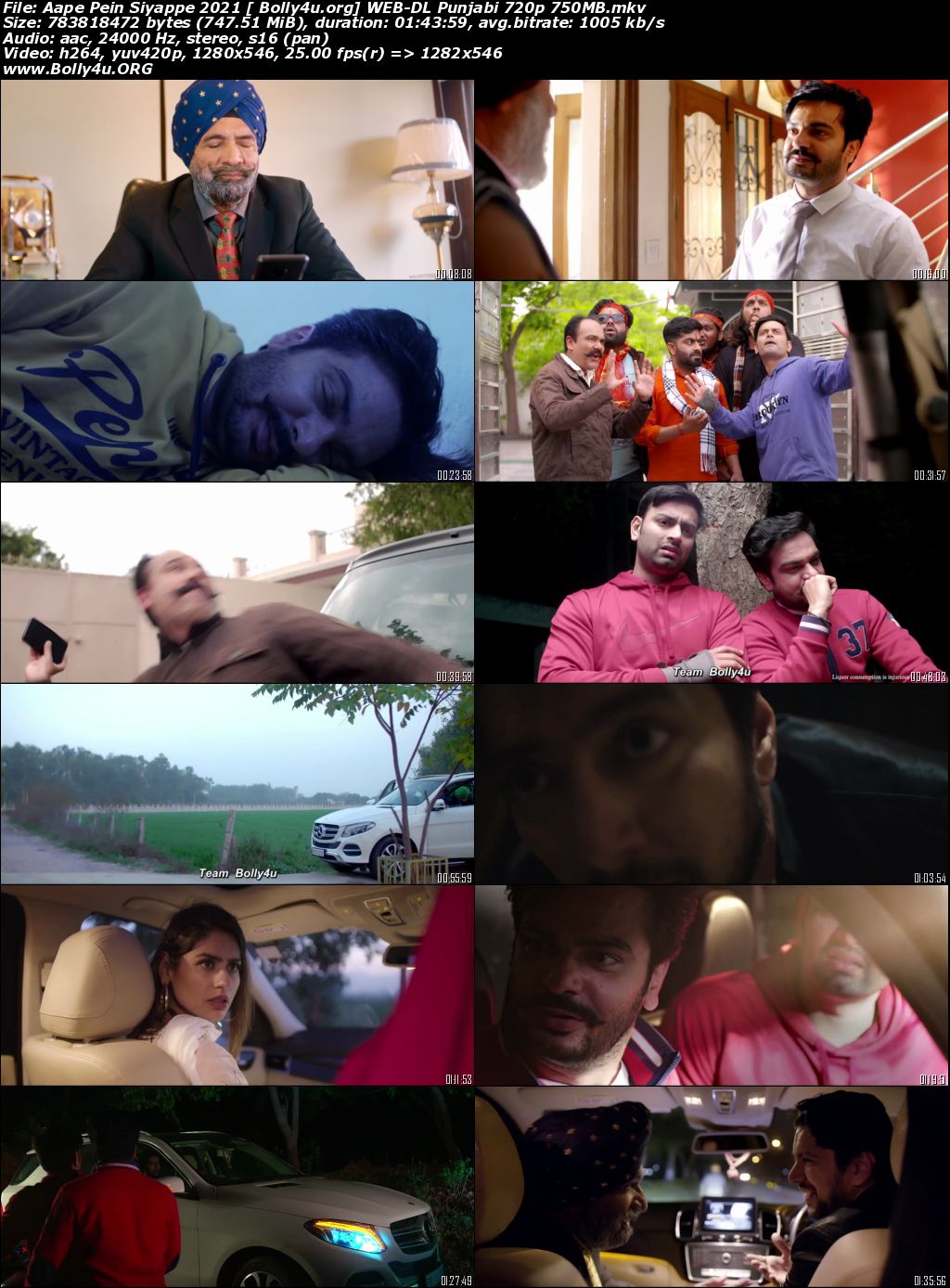 Aape Pein Siyappe 2021 WEB-DL 750Mb Punjabi Movie Download 720p