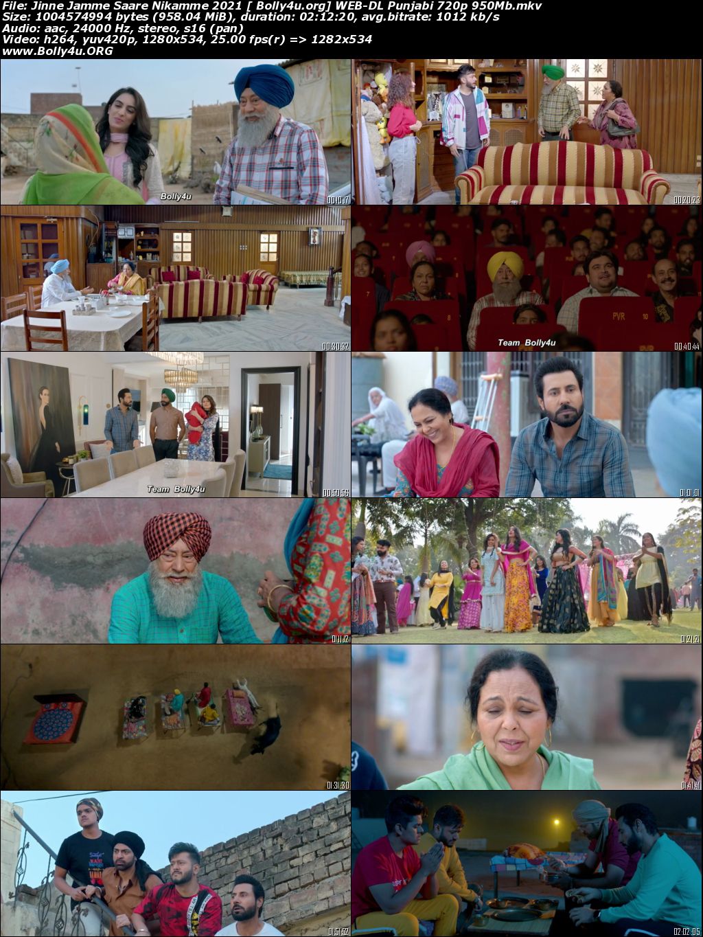 Jinne Jamme Saare Nikamme 2021 WEB-DL 950MB Punjabi Movie Download 720p