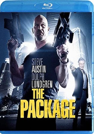 The Package 2013 BluRay 300Mb Hindi Dual Audio 480p