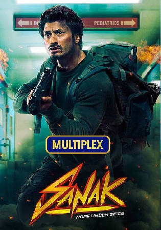 Sanak 2021 WEBRip Hindi Full Movie Download 720p