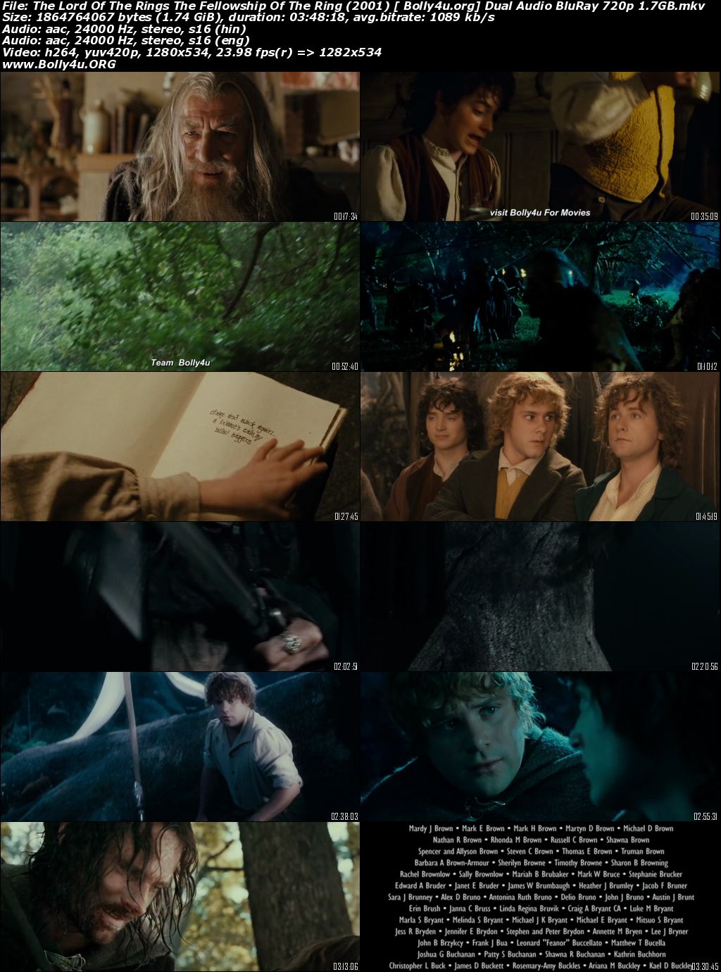 Lord of the Rings The Fellowship of the Ring 2001 BRRip Extended Hindi Dual Audio 720p Download