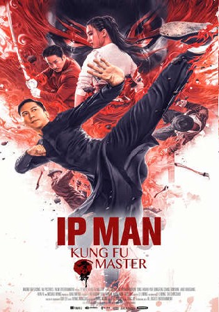 Ip Man Kung Fu Master 2019 BluRay 300Mb Hindi Dual Audio 480p