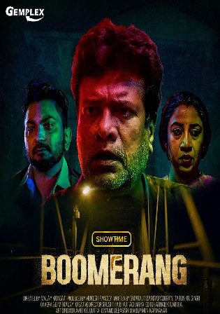 Boomerang 2021 WEB-DL 250Mb Hindi 480p